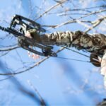 Best Technology For Deer Tracking Accuracy