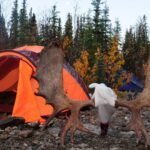 Choosing a Location for Your Hunting Camp