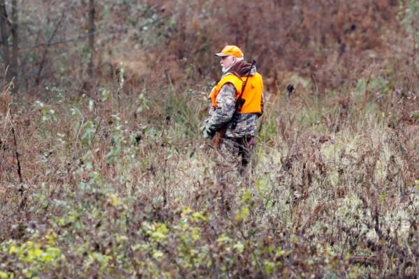 Deer Tracking Tips for Beginners