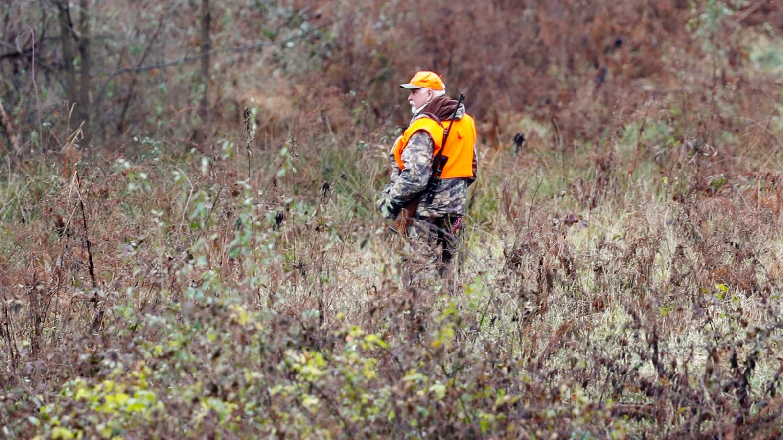 Deer Tracking Tips for Beginners