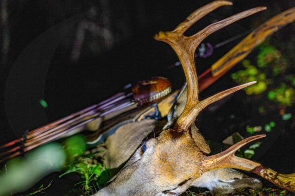 How To Choose Deer Hunting Equipment