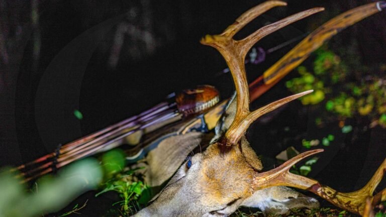 How To Choose Deer Hunting Equipment
