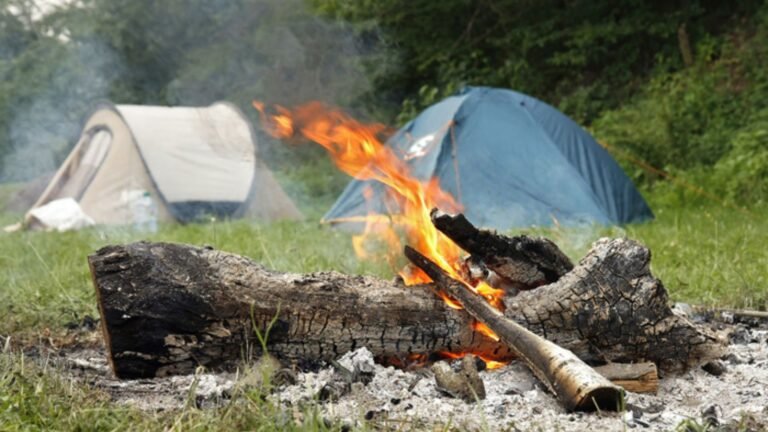 How To Maintain Your Hunting Camp