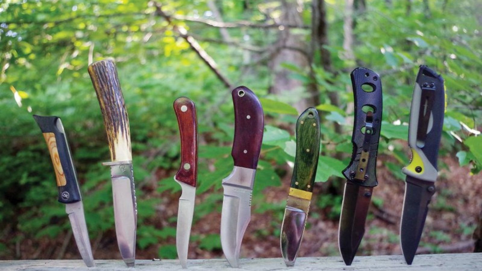 How to Pick the Best Hunting Knives