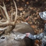 Locations for Deer Hunting Adventures