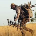 The Basics of Deer Tracking for Beginners