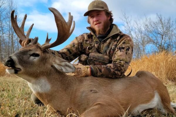 Popular Deer Hunting Methods For Beginners