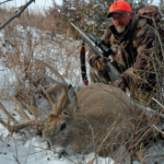 What to Do When You Lose a Deer Trail