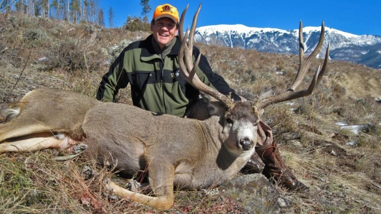 Top Rated Deer Hunting Equipment Online